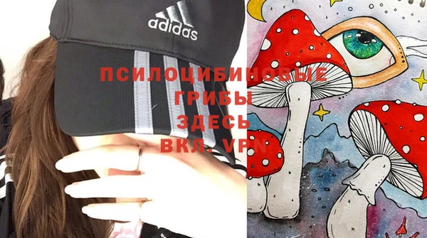 СК Валуйки