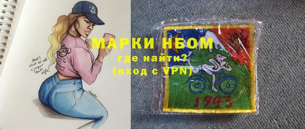 хмурый Алзамай