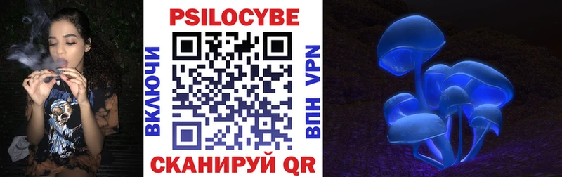Галлюциногенные грибы MAGIC MUSHROOMS  hydra сайт  Всеволожск  где купить наркотик 